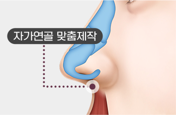 컨텐츠이미지